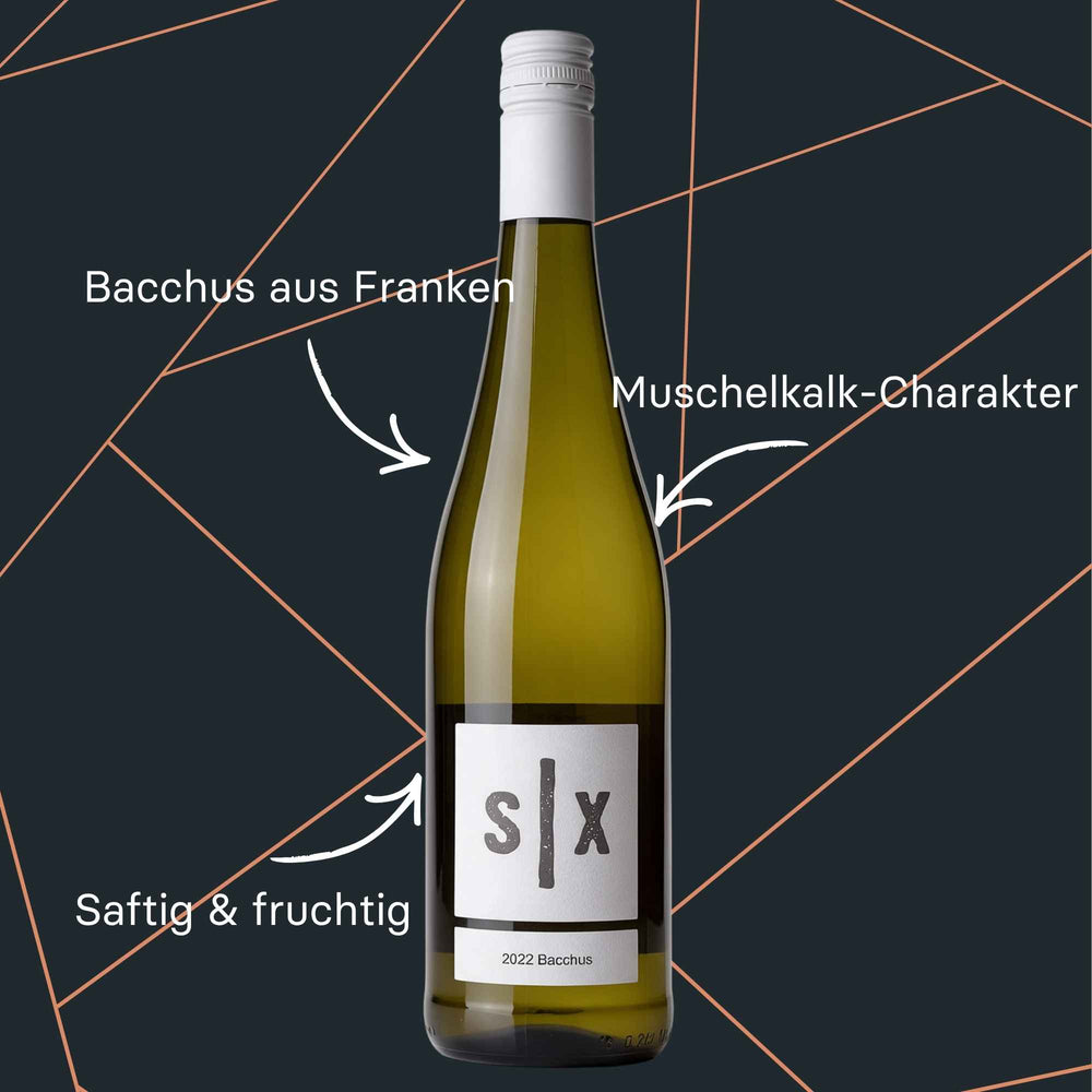 Flasche Bacchus Muschelkalk 2022 Weißwein vom Weingut Six aus Franken
