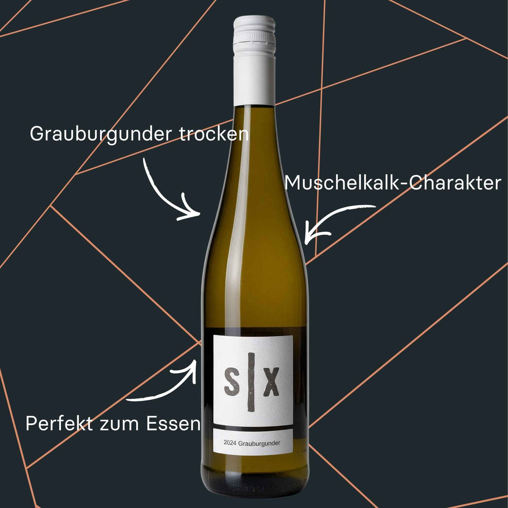 Flasche Grauburgunder Muschelkalk 2024 QbA trocken vom Weingut Six aus Franken