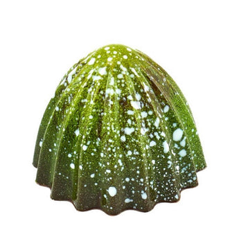 Maasz Schokolade Zitrone-Rosmarin-Praline mit Zartbitterschokolade