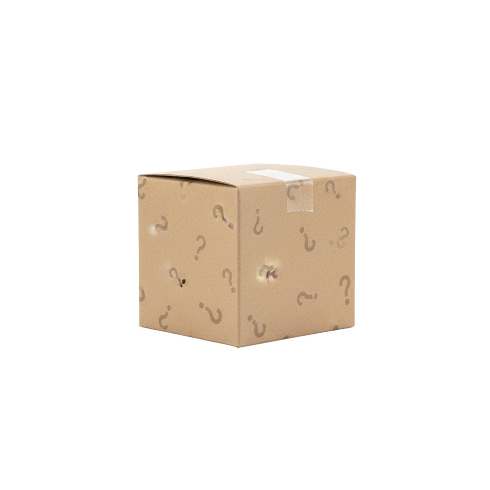 Kleine Maasz Mystery Box mit bunt gemischtem wechselndem Inhalt